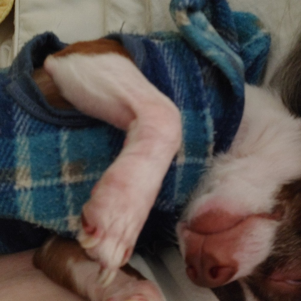 Meet your Posher, Vanessa